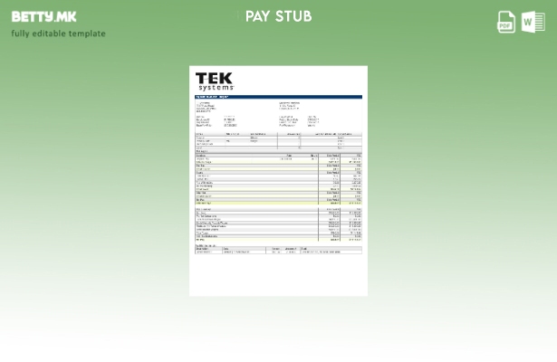 Шаблон за плаќање никулец во модерен стил на TEKsystems